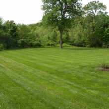 Image for Central MO Turf Management with ID of: 1510716
