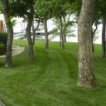 Image for Central MO Turf Management with ID of: 1510717