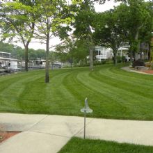 Image for Central MO Turf Management with ID of: 1510719