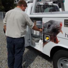 Image for Hall's Pest Control Inc. with ID of: 1511035