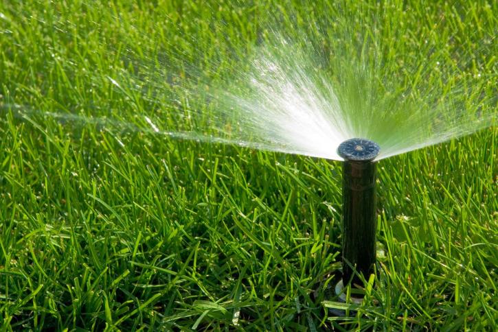 Image for All Phaze Irrigation with ID of: 1514341