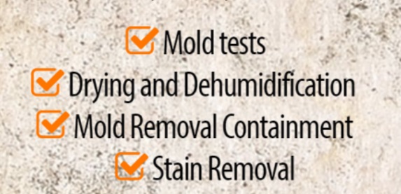 Image for First Mold Removal with ID of: 1515842