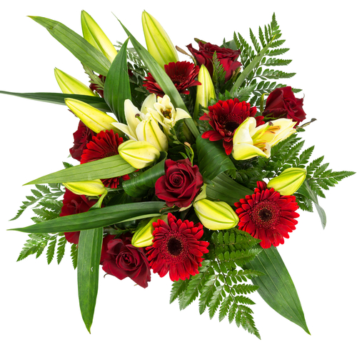 Image for Vanda Florist Calgary with ID of: 1520128