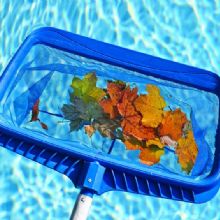 Image for All American Pools & Spas with ID of: 1521113