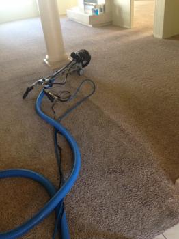 Image for Clean It to the Max! with ID of: 1522651