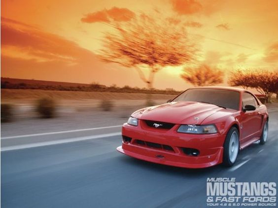 Image for Desert Classic Mustangs with ID of: 1526981