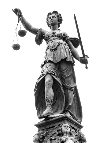 Image for International Trade Law with ID of: 1528631