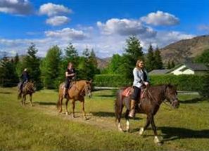 Image for Wonder Valley Ranch Resort & Conference Center with ID of: 1532911