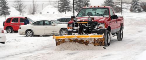 Image for Hauser Tree Care with ID of: 1533558