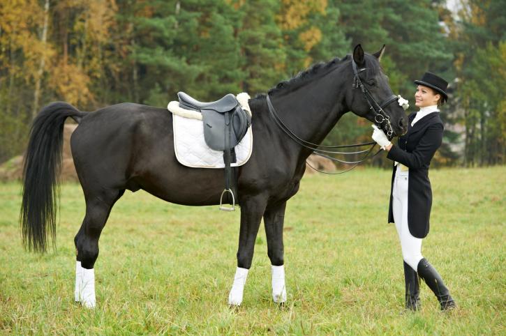 Image for Private Horseback Riding Lessons with ID of: 1534269
