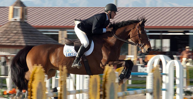 Image for Private Horseback Riding Lessons with ID of: 1534274