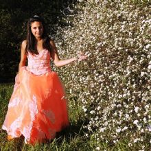 Image for The Bridal Path with ID of: 1534414