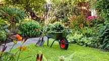 Image for Landscaping Service Guys with ID of: 1536085