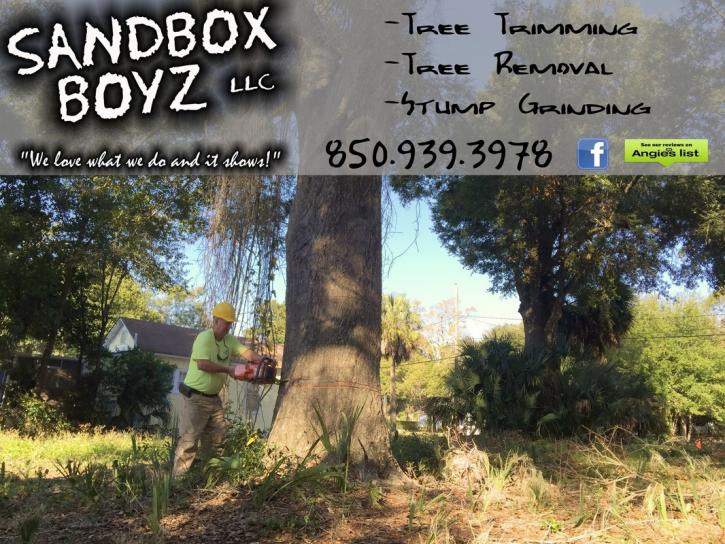 Image for Fort Walton Beach Tree Service with ID of: 1536421