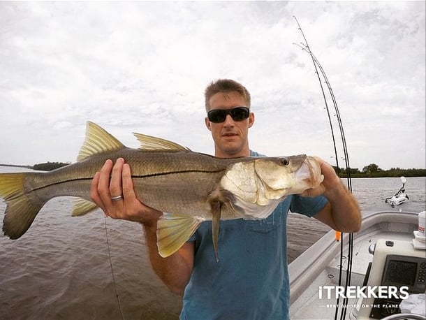 Image for iTrekkers - Bradenton with ID of: 1537833