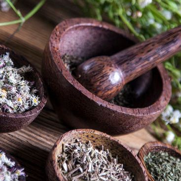 Image for Dande-Lion Herb Shop with ID of: 1538554