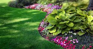 Image for Lawncare with ID of: 1538649