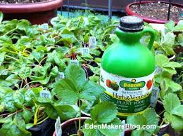 Image for Liquid fertilizer with ID of: 1539057