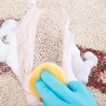 Image for Proclean Cleaning Services Inc. with ID of: 1539287