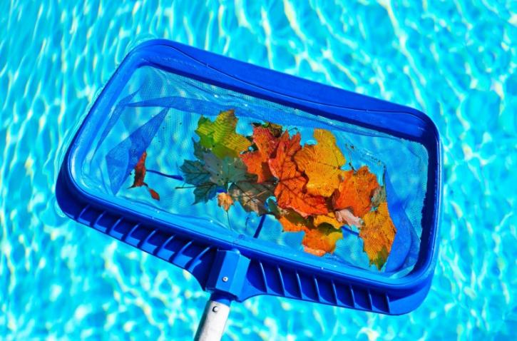 Image for Pool Peeps with ID of: 1539344