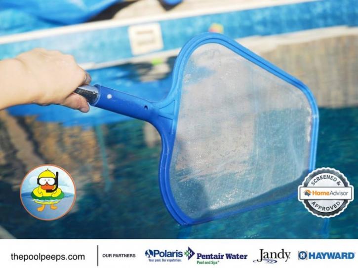 Image for Pool Peeps with ID of: 1539352