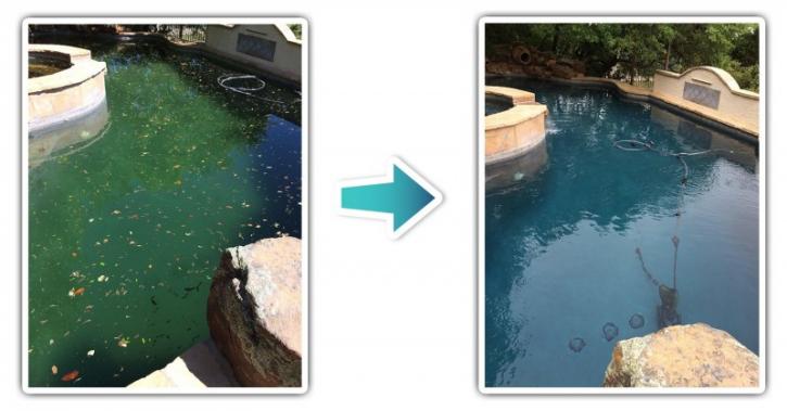 Image for Pool Peeps with ID of: 1539353