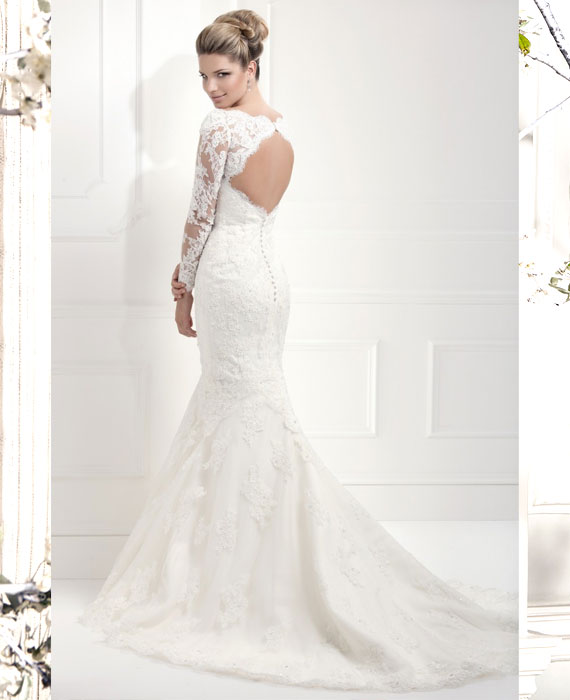 Image for Brides & Beyond with ID of: 1539851