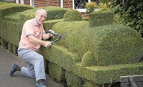 Image for Hedge Trimming Guys with ID of: 1539852