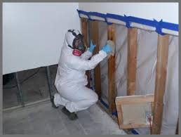 Image for Mold abatement with ID of: 1540460