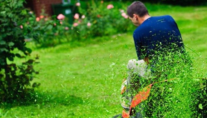 Image for This Mosquito Control Service in St. Louis is All You Need to Rid Your Yard From Unwelcomed Pests with ID of: 1541023