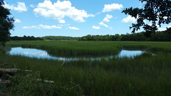 Image for 342 Eddings Point Road, St. Helena Island, SC 29920 with ID of: 1541376