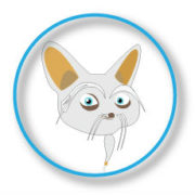 Image for san francisco seo services with ID of: 1542773