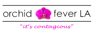 Image for Orchid Fever Inc. with ID of: 1543499