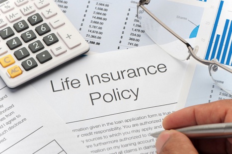 Image for Wachter-Fox Insurance with ID of: 1543573