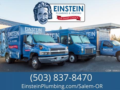 Image for Einstein Plumbing and Heating with ID of: 1543599
