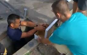 Image for Storm Drain Guys with ID of: 1544487