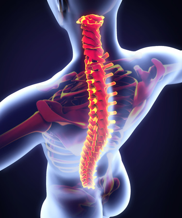 Image for Tuck Chiropractic Clinic with ID of: 1546140