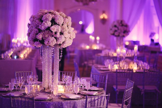Image for Table 6 Productions with ID of: 1547539