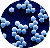 Image for Microspheres Market: By Regional Segment Analysis, 2015 - 2021 with ID of: 1551843