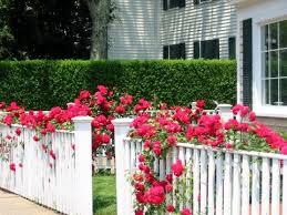 Image for White fence with ID of: 1552184