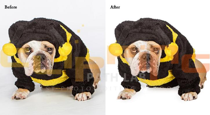Image for Clipping Path Services with ID of: 1552196
