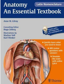 Image for ABC Books with ID of: 1552817