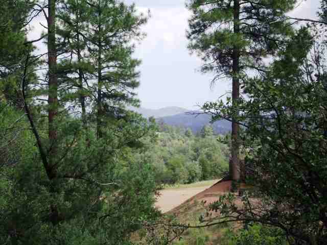 Image for Real Estate in Payson, AZ with ID of: 155282
