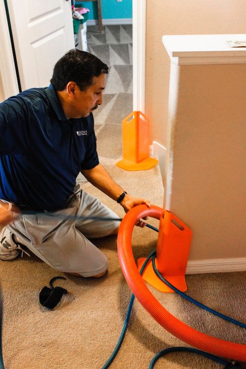 Image for Veritas Carpet Cleaning with ID of: 1555641