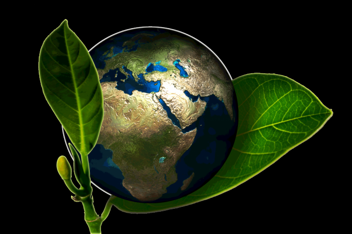 Image for GreenForPlanet with ID of: 1557067