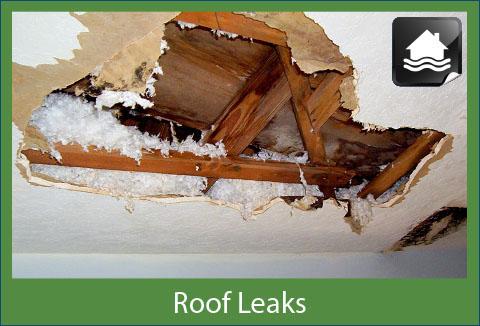 Image for Adjustment Specialists, Inc. with ID of: 1557702