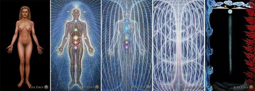 Image for The Involution Revolution with ID of: 1557875