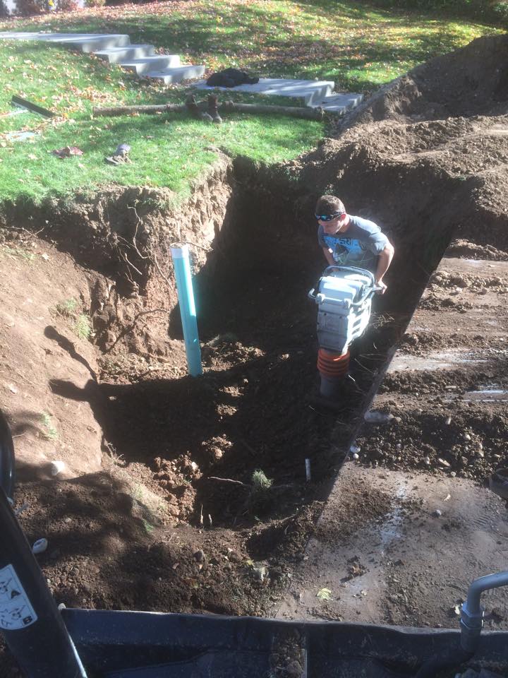 Image for Beehive Plumbing with ID of: 1558715