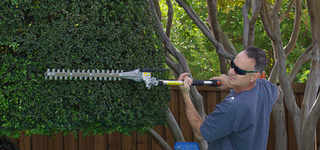 Image for Todd's Tree Service Inc with ID of: 1558978