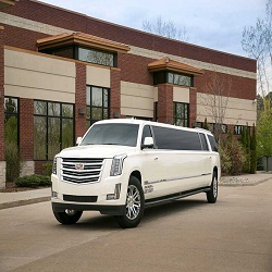 Image for Dream Limousines, Inc. with ID of: 1559188